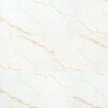 Msi Brighton Gold 24 X 48 Matte Porcelain Floor And Wall Tile, 2PK ZOR-PT-0744